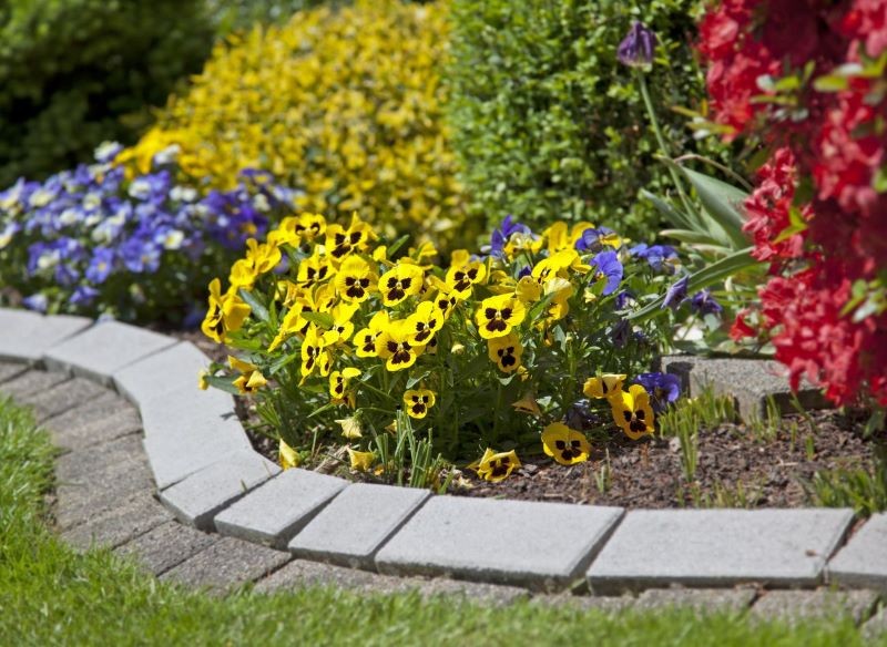 Rabatę mogą upiększyć rośliny sezonowe.