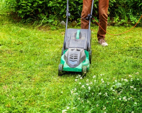 Ostatnie koszenie trawy przed zimą. Termin i sposób mają kluczowe znaczenie
