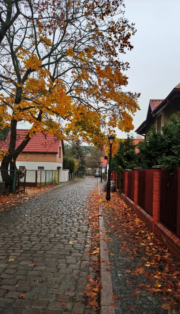 Pozostałe, Listopadowa mgła......... - ..........i osada rybacka..........