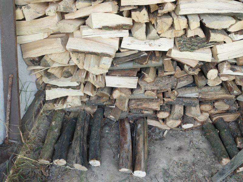 Gdzie kupować drewno opałowe?
