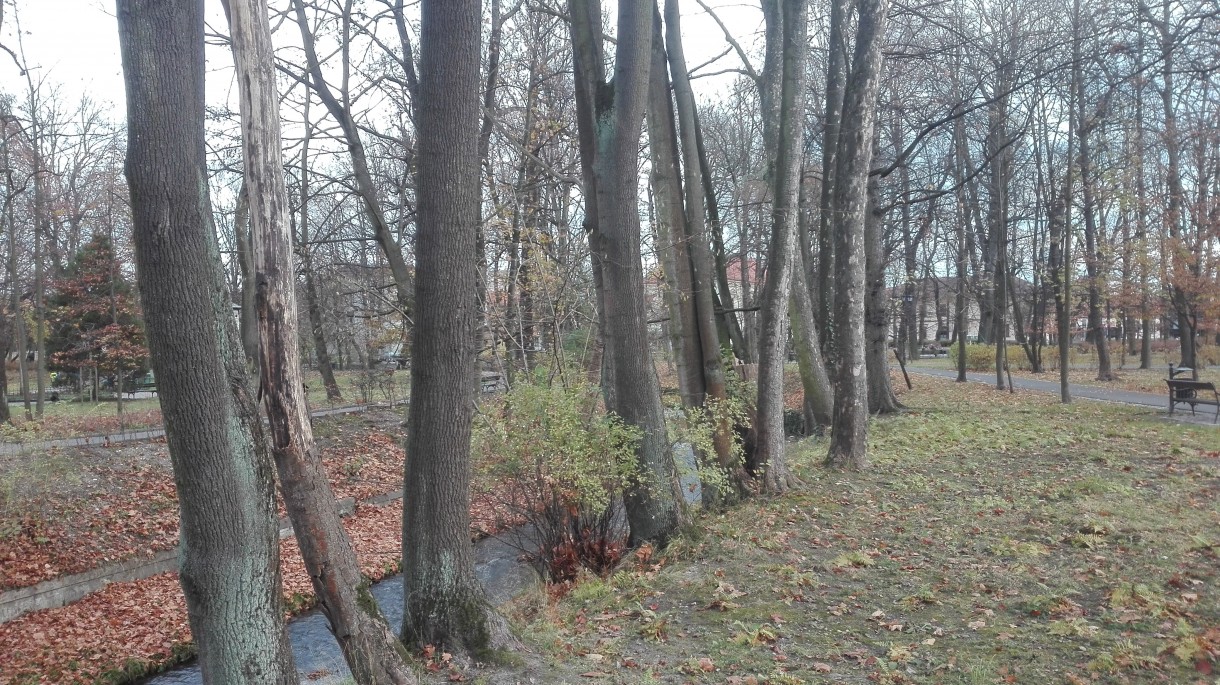 Podróże, Listopadowy park