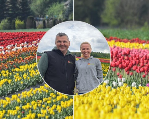 Z pasji do kwiatów: Krajobraz niczym z Holandii. Odkryj świętokrzyskie pole tulipanów