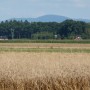 Pozostałe, Jezioro i Ogrody goczałkowickie