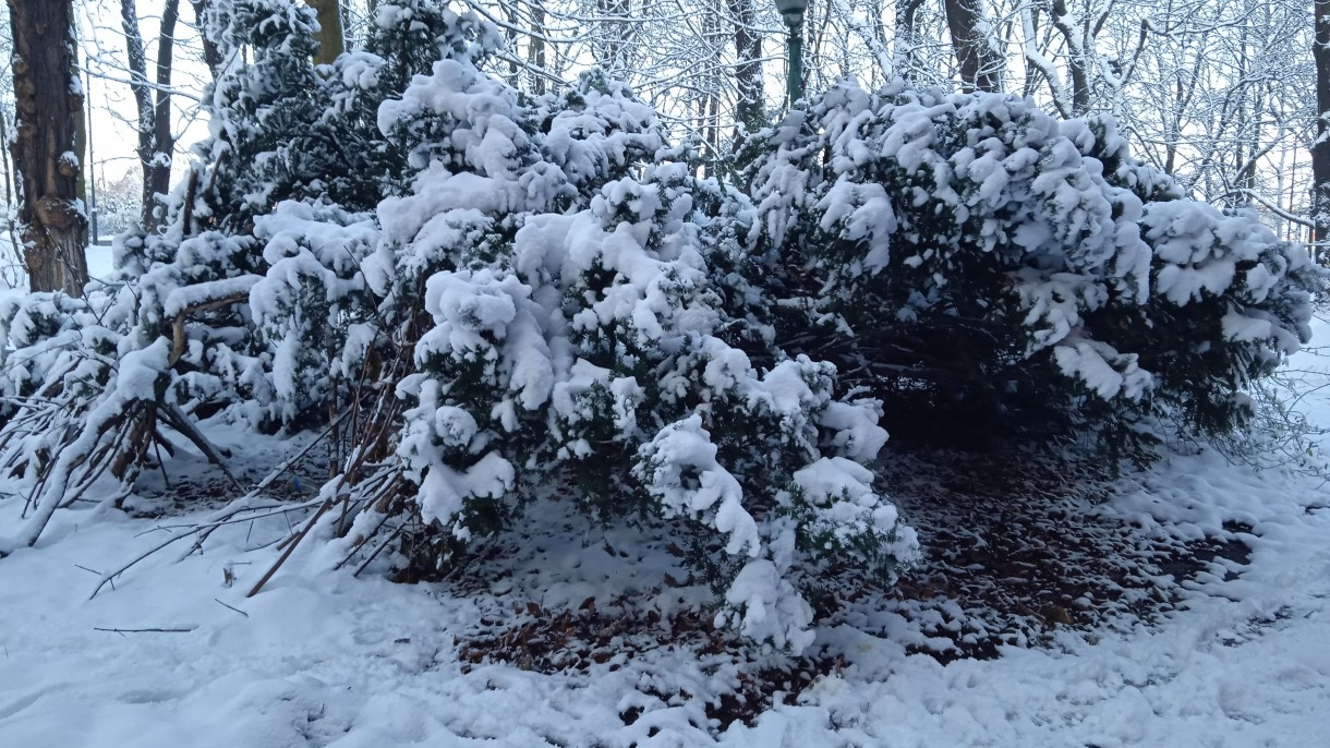 Podróże, GRUDZIEŃ W ZIMOWEJ SZACIE