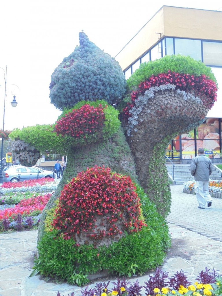 Pozostałe, FLORA i FAUNA  SZCZAWNICKA  - II część