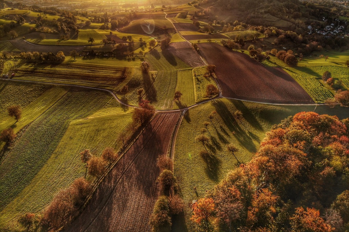 Leśne klimaty, Jesień widziana z nieba