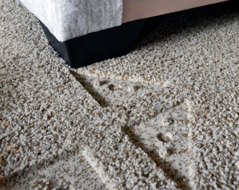 Co zrobić, gdy dywan „pamięta” odgniecenia? Prosty trik, który nie kosztuje ani grosza