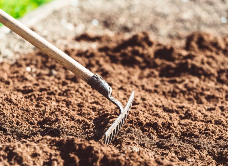 Rabatę no dig najlepiej założyć jesienią, ale możemy to zrobić również wiosną i latem.