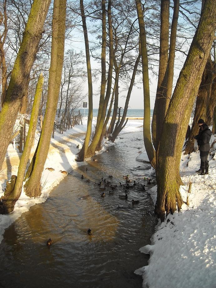 Pozostałe, Lutowa galeria znad morza............. - .......... i rzeczka...........