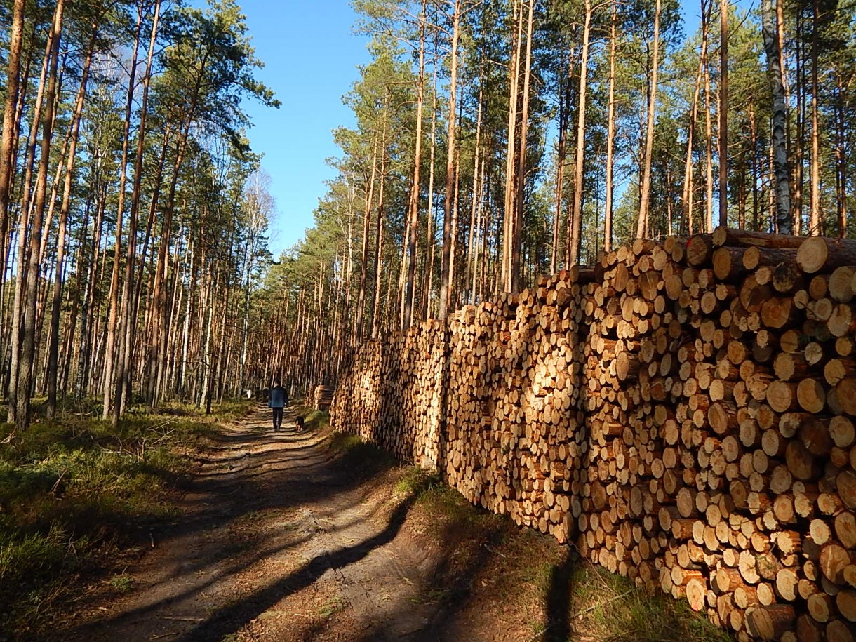 Jadalnia, PACHNIE WIOSNĄ....