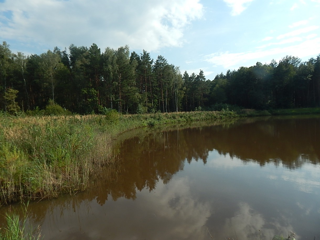 Leśne klimaty, KAWA W LESIE  :)