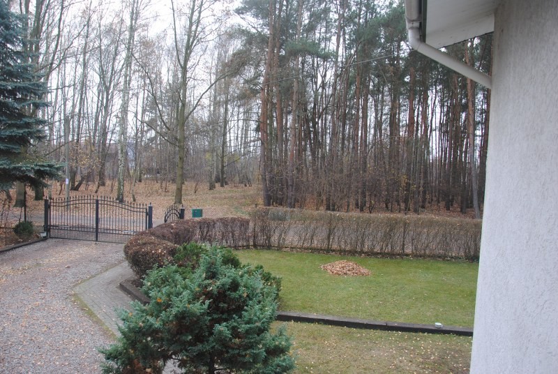 Pozostałe, Listopadowe migawki:) - Grabienie liści w lesie to syzyfowa praca..ciągle pojawiają się nowe:(