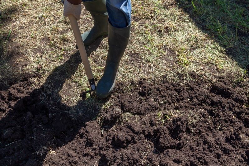 Nieprzetworzony obornik trzeba przekopać z glebą na głębokość szpadla, a granulowany – wymieszać z wierzchnią warstwą ziemi.