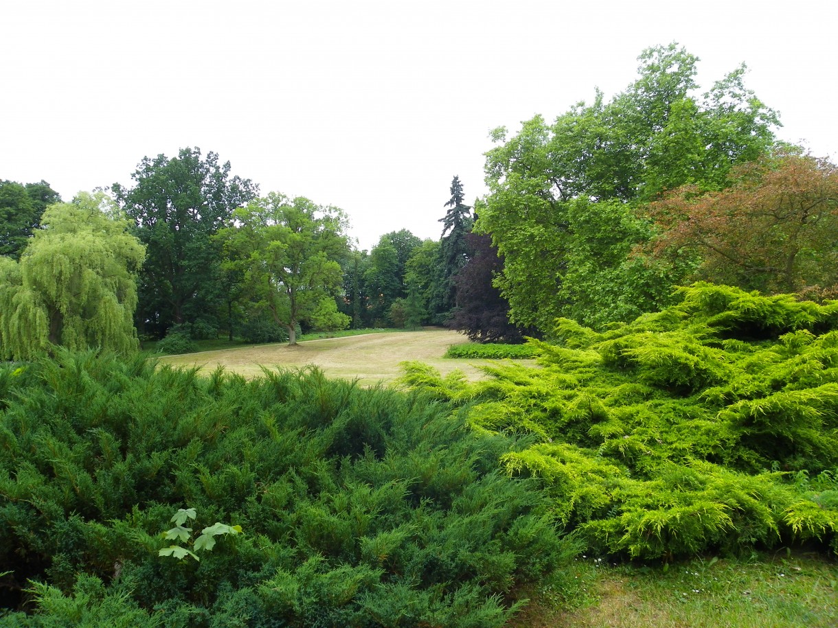 Pozostałe, Arboretum w Gołuchowie - Park i zabudowania cz 1