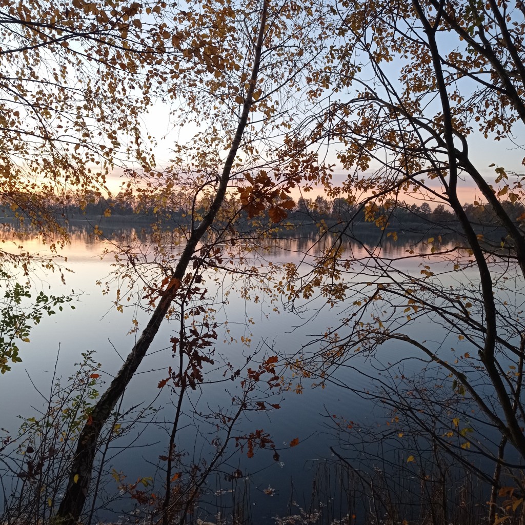 Pozostałe, Zmierzch