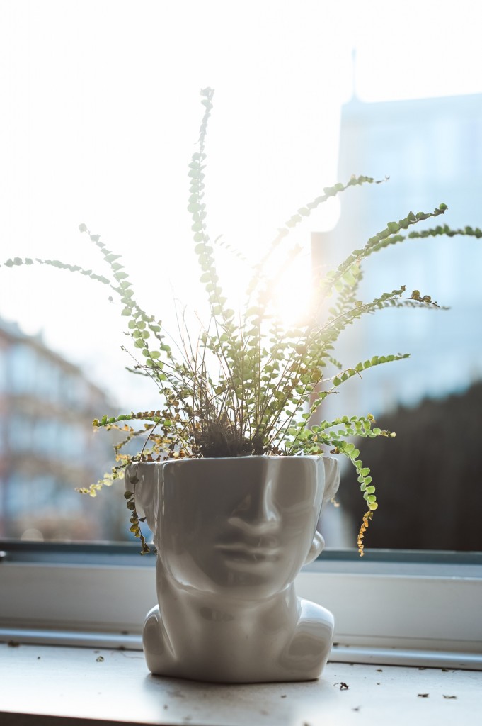 Dekoracje, Dom pełen ozdób i nietypowych dekoracji - Warto zajrzeć i się zainspirować. Fot. Unsplash