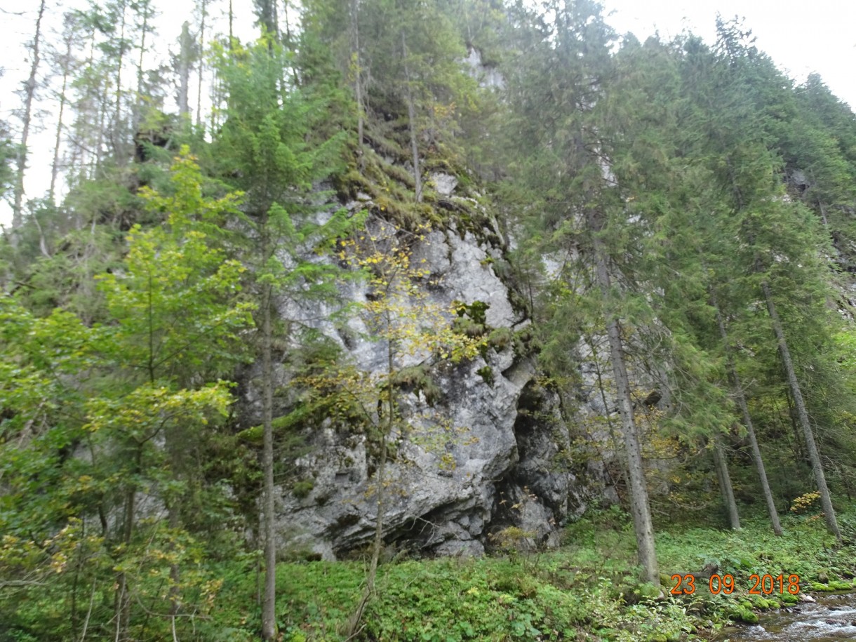 Pozostałe, Widoki w Zakopanem