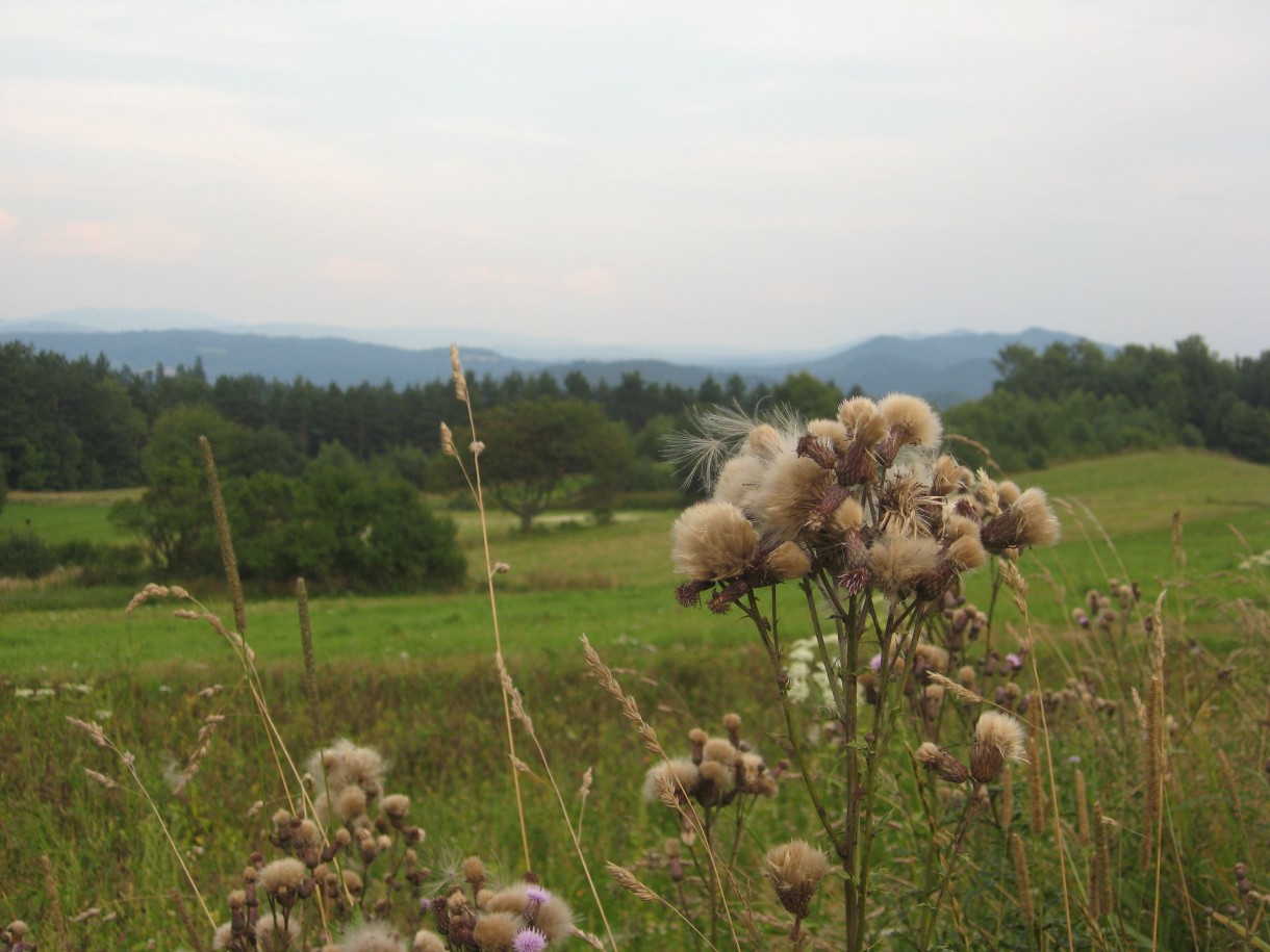 Pozostałe, Z cyklu cudze chwalicie... Bieszczady w moim obiektywie...