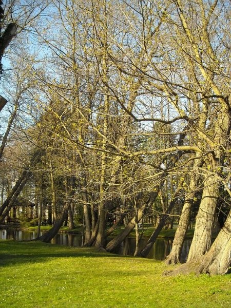 Pozostałe, Najpiękniejsza pora roku , wiosna.