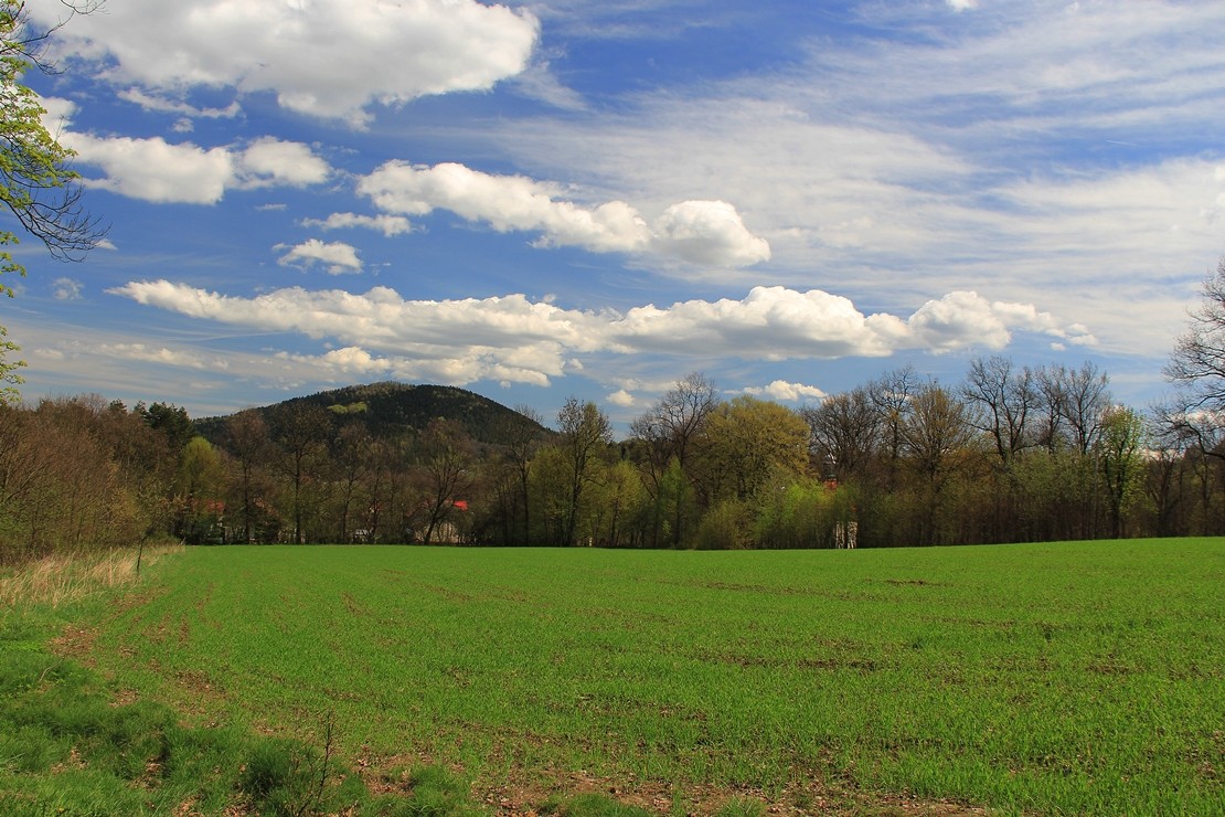 Pozostałe, "Kwietniówka" - .