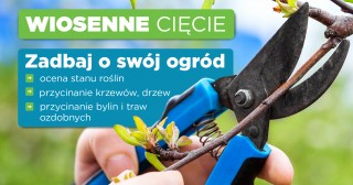 Wiosenne cięcie