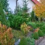 Ogród, jesiennie