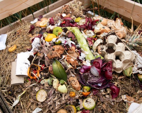 Patent na przyspieszenie kompostowania bez drogich dodatków. Potrzebny jest tylko produkt z lodówki