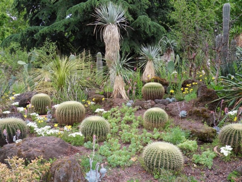 Pozostałe, Ogrod botaniczny