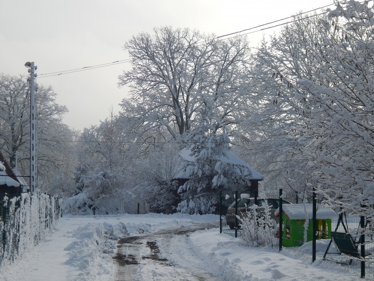 Leśne klimaty, ZIMOWA BAJKA  :)