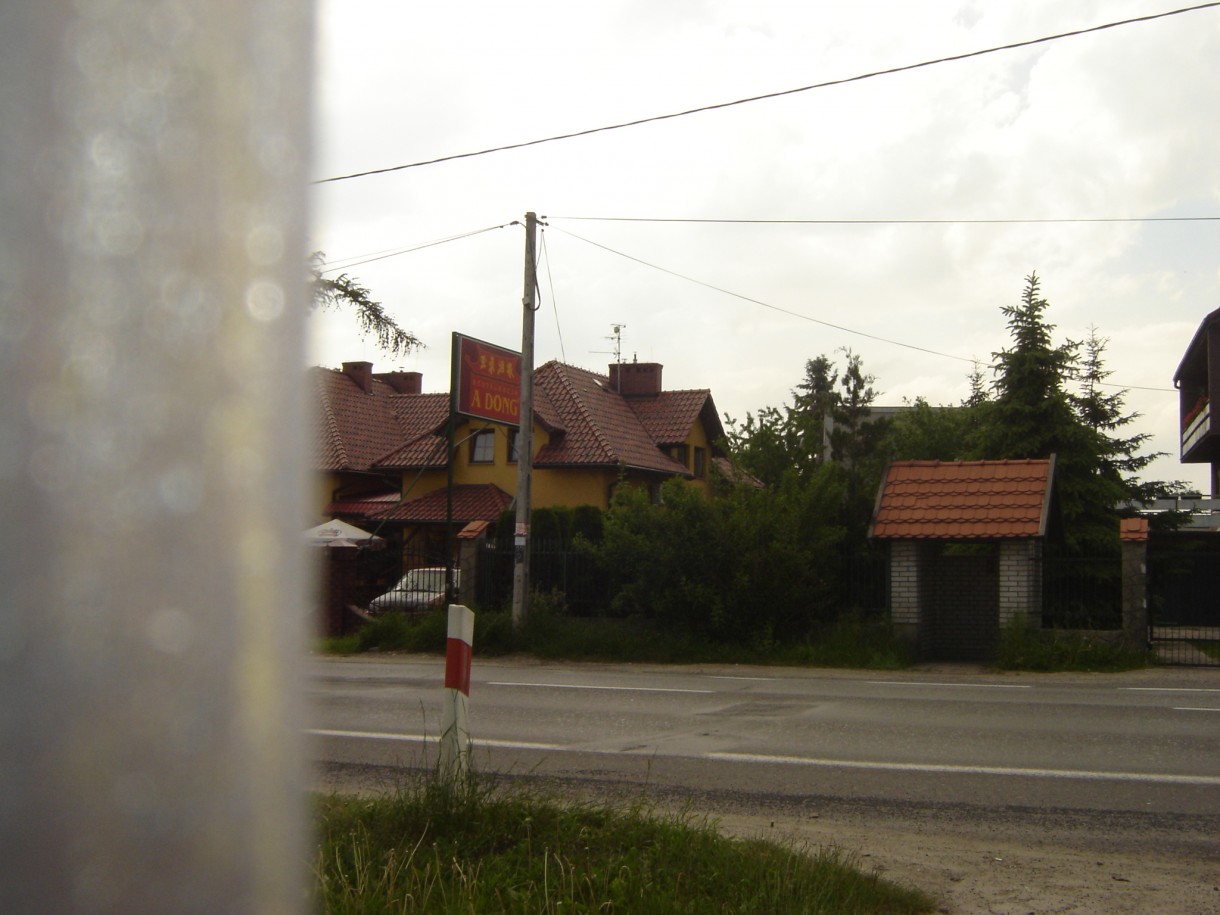 Pozostałe, maly ogrodek,,, - kiedy len dopadnie w gotowaniu,moge wyskoczyc do Chinczyka,,mam pare krokow:)