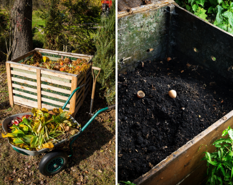 Zakładanie kompostownika w ogrodzie krok po kroku. Co kompostować i jakie rośliny dożywiać?