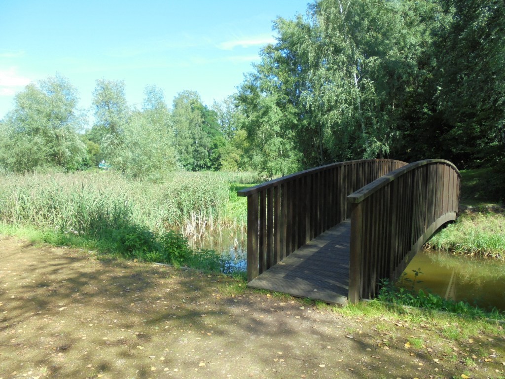 Pozostałe, NATURA w PEŁNEJ  KRASIE - Park Mickiewicza