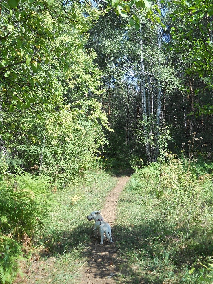 Pozostałe, Uroczysko. Fotoreportaż :) - ...i dalej..