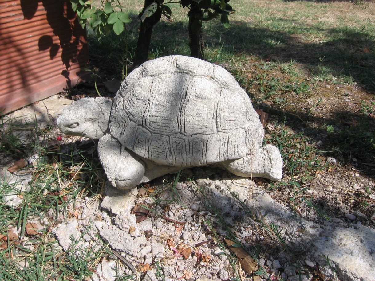 Pozostałe, wiejskie klimaty włoskie cd.