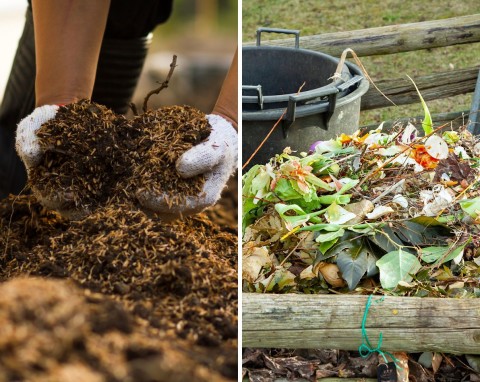 Jak zrobić dobry kompost? Wypróbuj tę metodę, będzie gotowy w 4 tygodnie