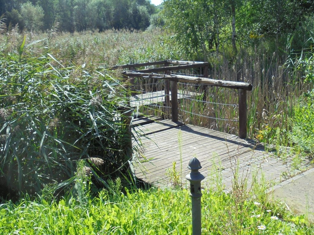 Pozostałe, NATURA w PEŁNEJ  KRASIE - Park Mickiewicza