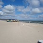 Rośliny, Majowa .............biała.................. - ................i kutry na plaży..........