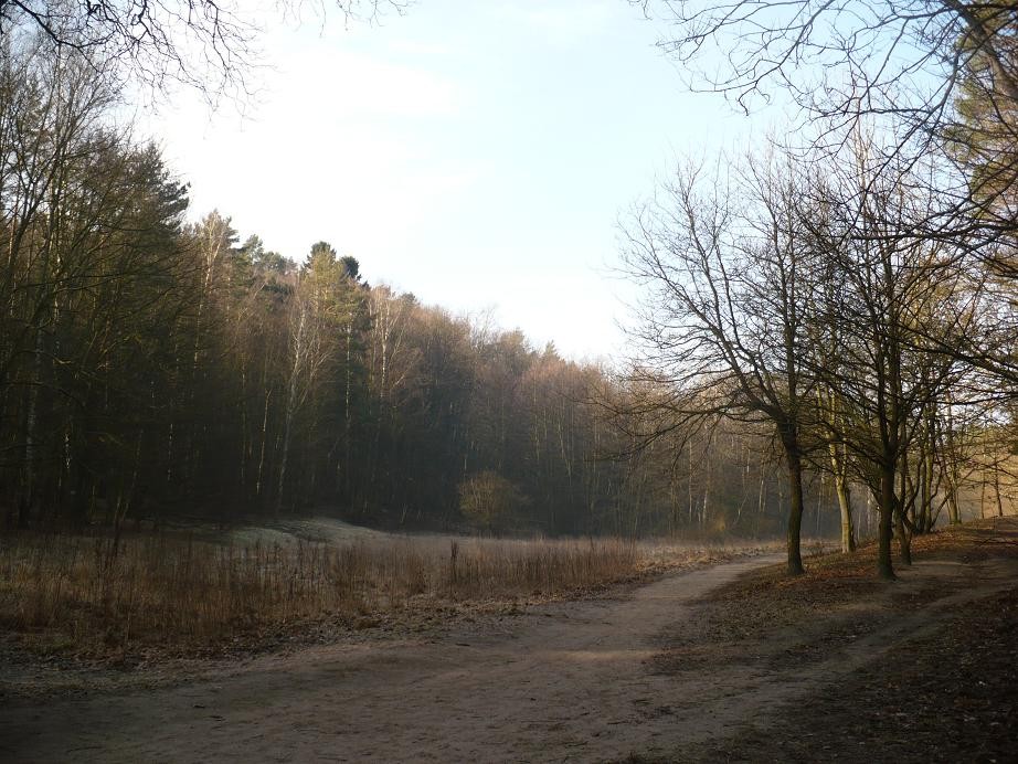 Rośliny, Moje poszukiwanie wiosny.......... - ..........i droga..........