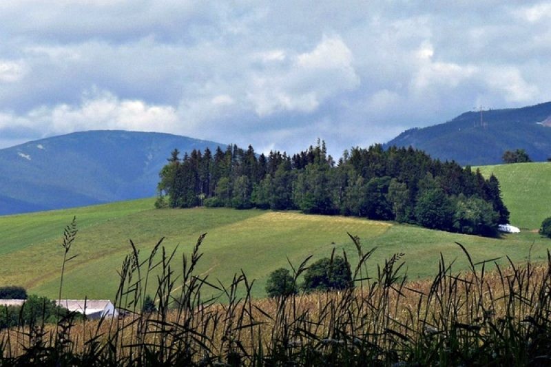 Pozostałe, " Dzikie " pola