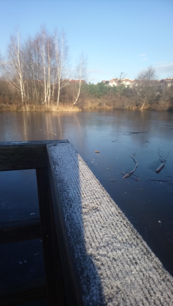 Dekoracje, Styczniowa..........Wszystkiego Najlepszego w Nowym Roku...... - Oby ten rok był wspaniały ...............oby każdy z Was spełniał swoje  marzenia ............Zdrowia , Szczęścia ,  Pomyślności  życzę Wam :)
Zima nad morzem jest piękna :)