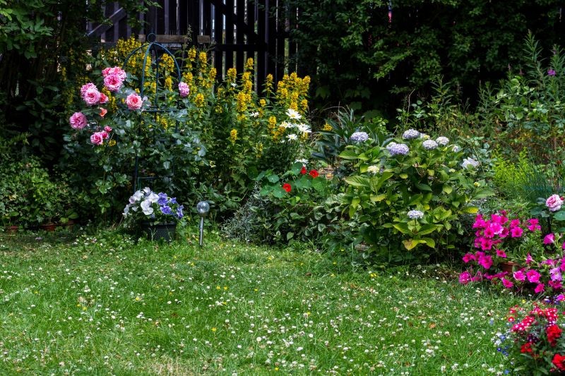 Latem tylko niektóre rośliny wymagają przycinania.