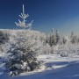 Pozostałe, zimowe klimaty - .