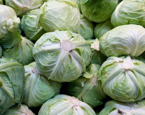 Jak przechowywać kapustę przez zimę? Głowy będą twarde nawet przez pół roku