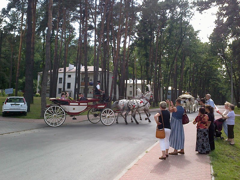 Pozostałe, czym do ślubu