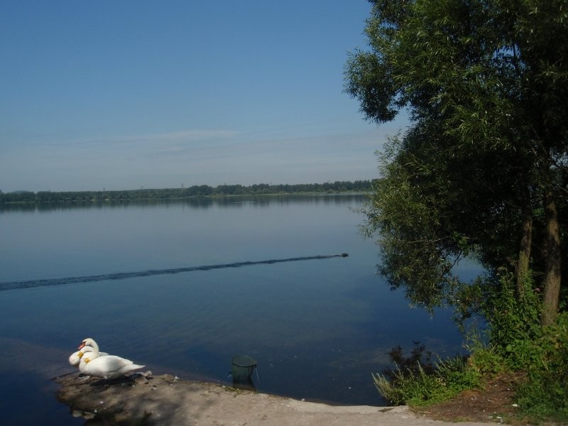 Pozostałe, W parku i nad wodą.