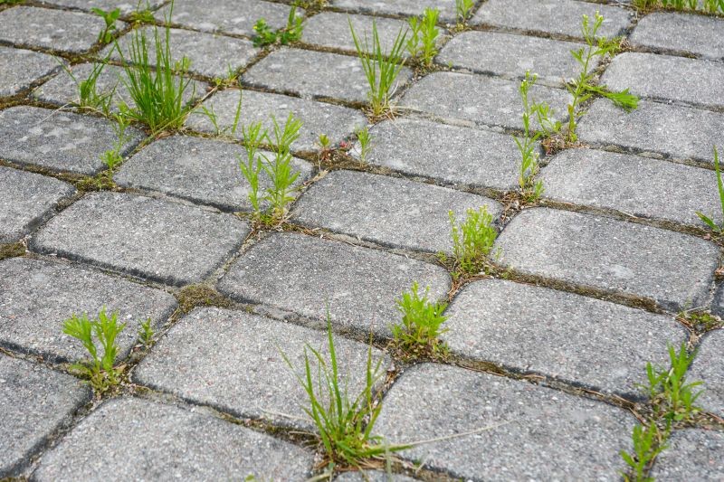 Jak usunąć mech z kostki brukowej?