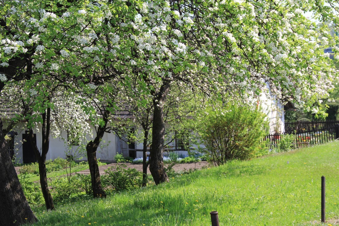 Pozostałe, sielsko - anielsko - ...