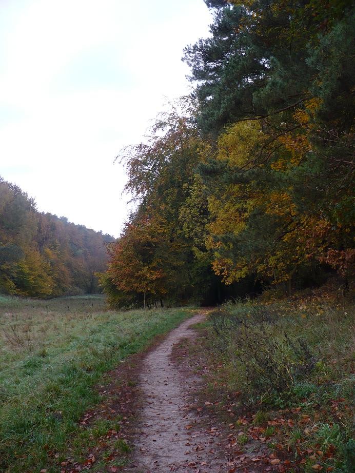 Pozostałe, Zaraz listopad............. - ...............i droga do lasu...............