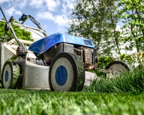 Jak zadbać o trawnik na wiosnę? Poradnik praktyczny