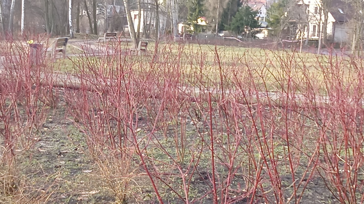 Podróże, LUTOWY, SŁONECZNY DZIEŃ